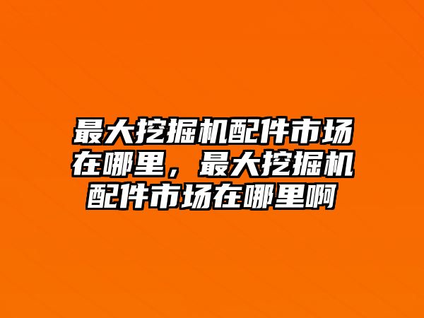 最大挖掘機(jī)配件市場在哪里，最大挖掘機(jī)配件市場在哪里啊